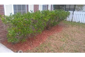 5822 Shady Brook Way, Sarasota, FL 34243, Sold 07/19/17