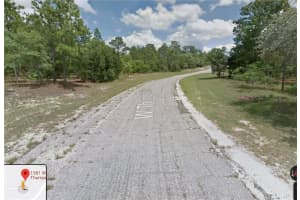 1581 THUMPER DRIVE, CITRUS SPRINGS, FL 34434 - MLS#MFRA4475472