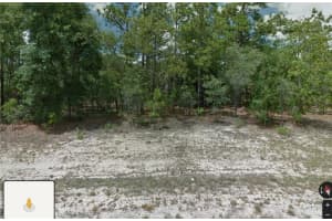 1581 THUMPER DRIVE, CITRUS SPRINGS, FL 34434 - MLS#MFRA4475472