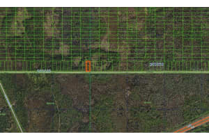 OLD GRADE RD, POLK CITY, FL 33868 - MLS#MFRA4481155