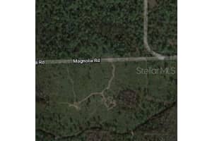 Magnolia Rd, NEW SMYRNA BEACH