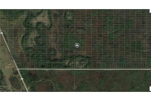 OLD GRADE RD, POLK CITY, FL 33868 - MLS#MFRA4489269