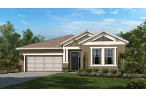 10423 Tranquil Mdw Lp, Riverview, FL 33569, Sold 11/15/21