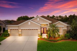 11412 Summit Rock Ct, Parrish, FL 34219, Sold 12/30/21