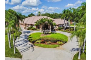 17811 Willow Lake Dr, Odessa, FL 33556, Sold 12/22/21