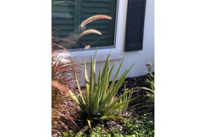 6202 63rd Ave, Palmetto, FL 34221, Sold 03/04/22