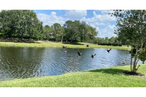 7083 Chatum Light Run, Bradenton, FL 34212, Sold 06/21/22