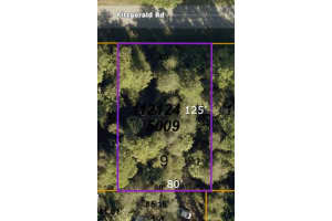  FITZGERALD RD, NORTH PORT, FL 34288 - MLS#MFRA4534114