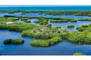 409 North Point Rd, Osprey, FL 34229, Sold 06/24/22