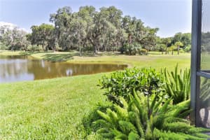 4320 SAGE GREEN TER, SARASOTA, FL 34243 Sold 08/03/22