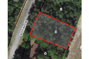 10195 DYAL DRIVE, CITRUS SPRINGS, FL 34434 - MLS#MFRA4539417