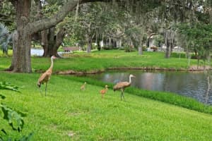 5956 WILSHIRE BLVD #47, SARASOTA, FL 34238 Sold 10/07/22