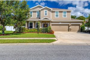 2919 130TH AVE E, PARRISH, FL 34219 Sold 12/05/22