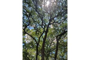 3906 WEBBER ST, SARASOTA, FL 34232 Sold 04/06/23