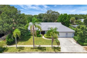2616 DURANT OAKS DR, VALRICO, FL 33596 Sold 09/22/22