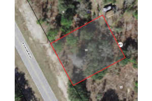 8243 N ELKCAM BLVD, CITRUS SPRINGS, FL 34433 - MLS#MFRA4546381