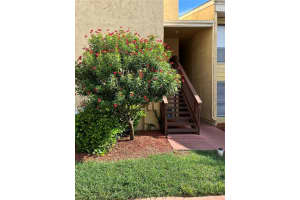 3443 CLARK RD #141, SARASOTA, FL 34231 Sold 11/08/22