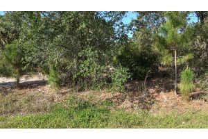  LINDSAY AVE, NORTH PORT, FL 34286 Sold 04/25/25