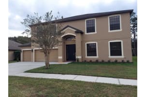 10702 RAIN LILLY PASS, LAND O LAKES, FL 34638 Sold 04/06/23