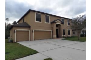 10702 RAIN LILLY PASS, LAND O LAKES, FL 34638 Sold 04/06/23