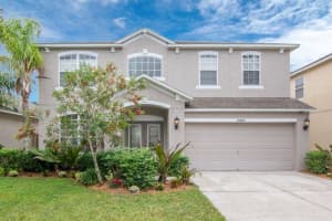 11447 DUTCH IRIS DR, RIVERVIEW, FL 33578 Sold 06/10/23