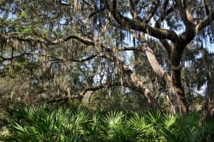 9255 SWAYING BRANCH ROAD, SARASOTA, FL 34241 - MLS#MFRA4555642