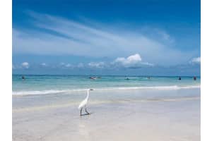 171 WHITTIER DRIVE, SARASOTA, FL 34236 Sold 09/12/23