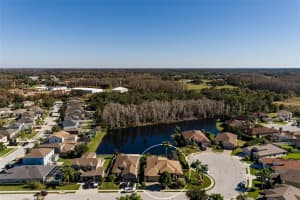 1108 MAZA PLACE, TRINITY, FL 34655 Sold 04/10/23