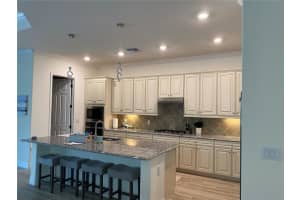 17525 HICKOK BELT LOOP, BRADENTON, FL 34211 - MLS#MFRA4557478