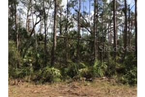  RIPLEY ST, NORTH PORT, FL 34286 - MLS#MFRA4557491