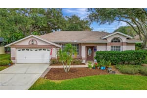 15107 LAUREL COVE CIRCLE, ODESSA, FL 33556 Sold 02/22/23