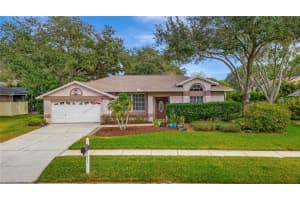 15107 LAUREL COVE CIRCLE, ODESSA, FL 33556 Sold 02/22/23