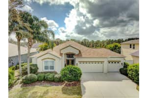 11310 DURHAM STREET, PARRISH, FL 34219 Sold 03/28/23