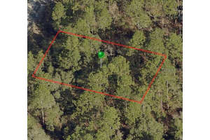 2982 MARIE DRIVE, CITRUS SPRINGS, FL 34433 - MLS#MFRA4561574