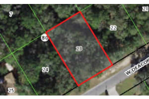 805 DEACON PLACE, CITRUS SPRINGS, FL 34434 - MLS#MFRA4562919