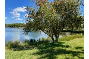 541 LUMINARY BOULEVARD, OSPREY, FL 34229 Sold 07/26/23