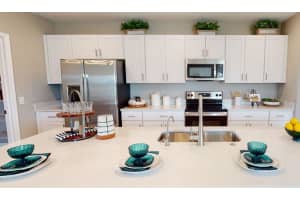 255 AMBER WAY, KISSIMMEE, FL 34758 Sold 06/23/23