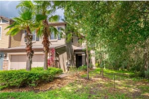 17259 OLD TOBACCO ROAD, LUTZ, FL 33558 Sold 07/03/23