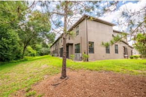 17269 OLD TOBACCO ROAD, LUTZ, FL 33558 Sold 06/30/23