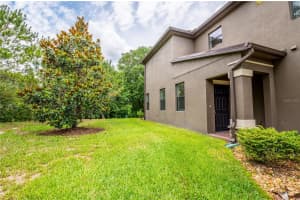 17269 OLD TOBACCO ROAD, LUTZ, FL 33558 Sold 06/30/23