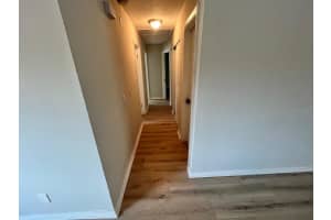 6604 WINDING OAK DRIVE, TAMPA, FL 33625 Sold 07/13/23