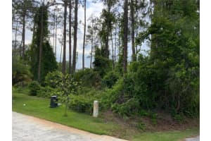 10 RIPTON PLACE, PALM COAST, FL 32164 - MLS#MFRA4571193