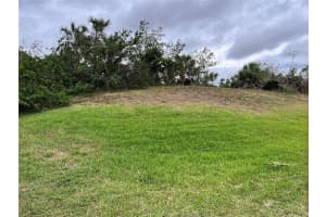 WOODBRIDGE DR, VENICE, FL 34293 - MLS#MFRA4571228