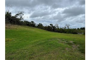 WOODBRIDGE DR, VENICE, FL 34293 - MLS#MFRA4571228