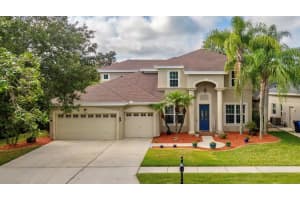 8203 NATURE COVE WAY, TAMPA, FL 33647 Sold 07/14/23