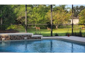 13624 4TH AVENUE, BRADENTON, FL 34212 Sold 08/01/23