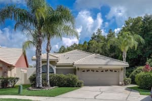 3605 DARSTON STREET, PALM HARBOR, FL 34685 Sold 08/10/23
