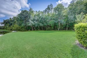 3605 DARSTON STREET, PALM HARBOR, FL 34685 Sold 08/10/23