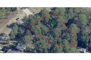 9331 MARCUS WAY, CITRUS SPRINGS, FL 34433 - MLS#MFRA4577412