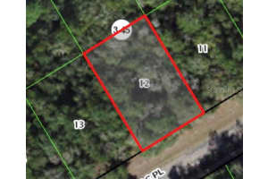 379 MAC PLACE, CITRUS SPRINGS, FL 34434 - MLS#MFRA4577430